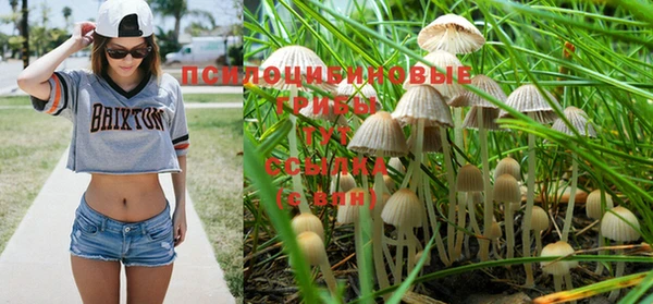 ПСИЛОЦИБИНОВЫЕ ГРИБЫ Зеленодольск