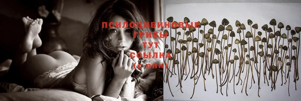 MDMA Зеленокумск