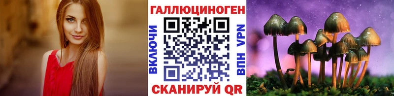 Купить Избербаш Галлюциногенные грибы мицелий