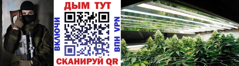 Бошки марихуана Ganja Избербаш